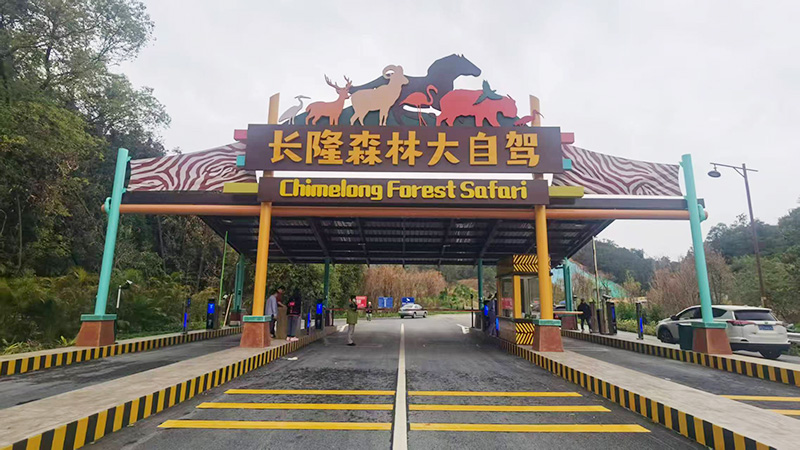 清远长隆森林大自驾